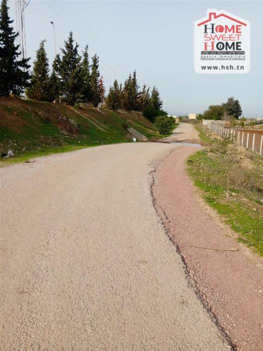 Borj El Amri Borj El Amri Terrain Terrain agricole Terrain agricole baraka  borj el amri