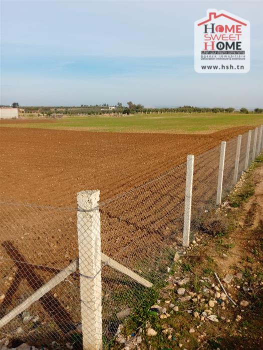 Borj El Amri Borj El Amri Terrain Terrain agricole Terrain agricole baraka  borj el amri