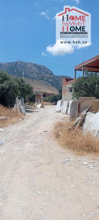 Zaghouan Zaghouan Vente Surfaces Terrain villa rama   zaghouan