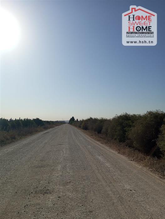 Sidi Thabet Sidi Thabet Vente Surfaces Terrain riteg a sidi thabet