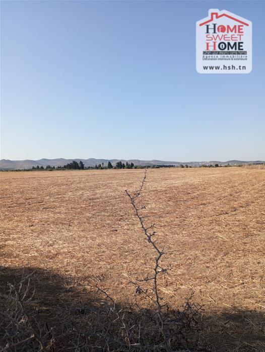 Sidi Thabet Sidi Thabet Vente Surfaces Terrain riteg a sidi thabet