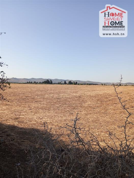 Sidi Thabet Sidi Thabet Vente Surfaces Terrain riteg a sidi thabet