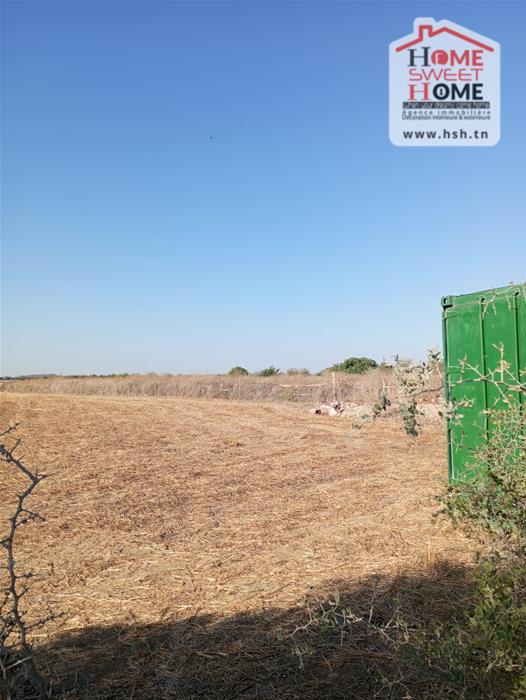 Sidi Thabet Sidi Thabet Vente Surfaces Terrain riteg a sidi thabet