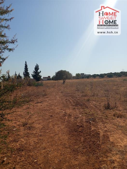 Sidi Thabet Sidi Thabet Vente Surfaces Terrain de villa cyrine a sidi thabet