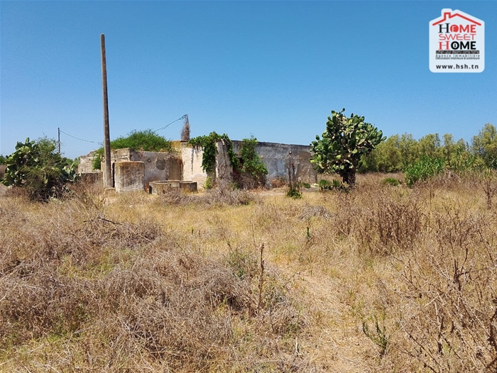 Menzel Bouzelfa Bedar Terrain Terrain agricole Ferme zoey  menzel bouzalfa