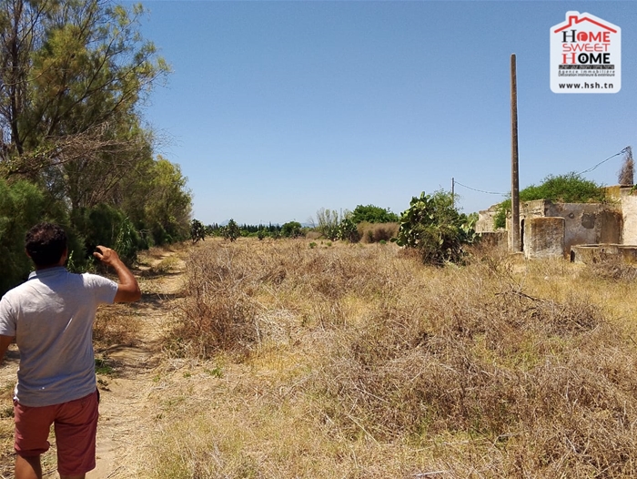 Menzel Bouzelfa Bedar Terrain Terrain agricole Ferme zoey  menzel bouzalfa