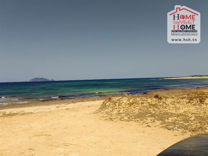 El Haouaria Zaouiet El Mgaies Vente Surfaces Terrain villa zembra  nabeul