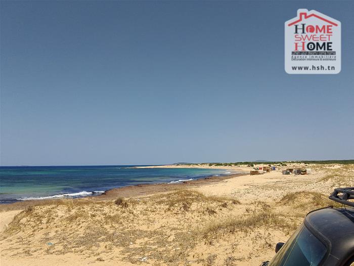 El Haouaria Zaouiet El Mgaies Vente Surfaces Terrain villa zembra  nabeul