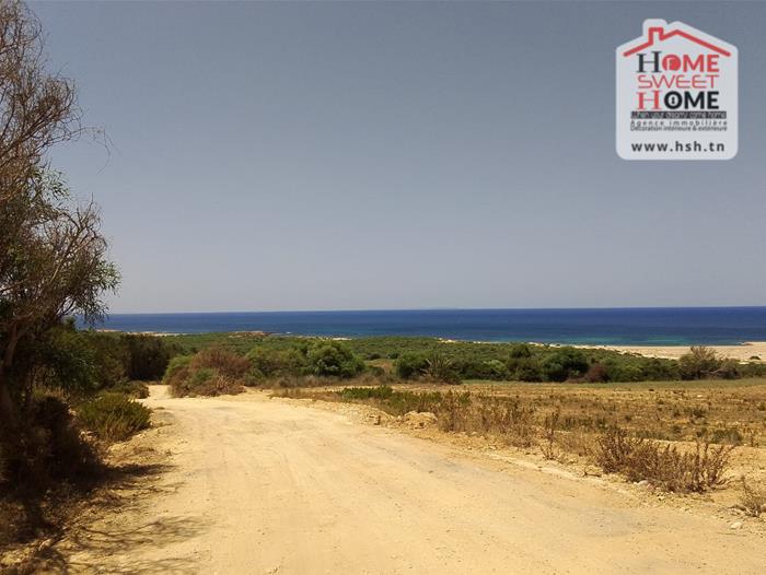 El Haouaria Zaouiet El Mgaies Vente Surfaces Terrain villa zembra  nabeul
