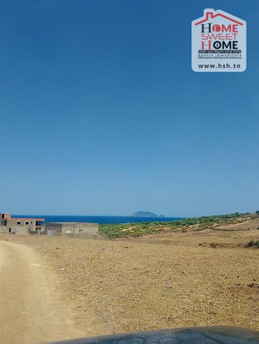 El Haouaria Bir El Jedey Vente Surfaces Terrain villa olga   nabeul