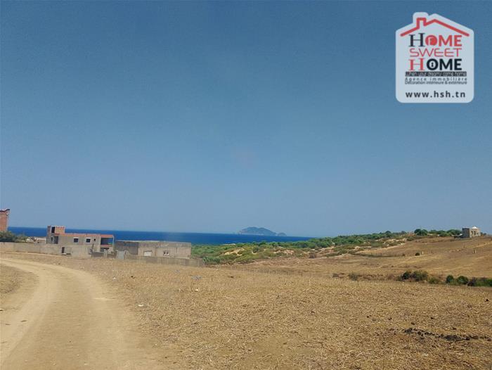 El Haouaria Bir El Jedey Vente Surfaces Terrain villa olga   nabeul