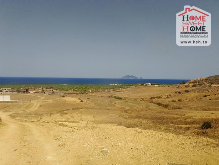 El Haouaria Bir El Jedey Vente Surfaces Terrain villa olga   nabeul