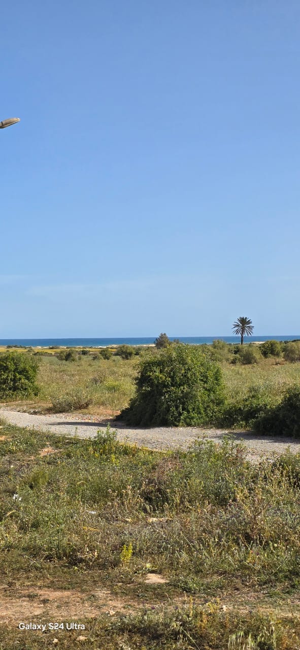 Menzel Temime Lebna Terrain Terrain nu Terrain lebna plage