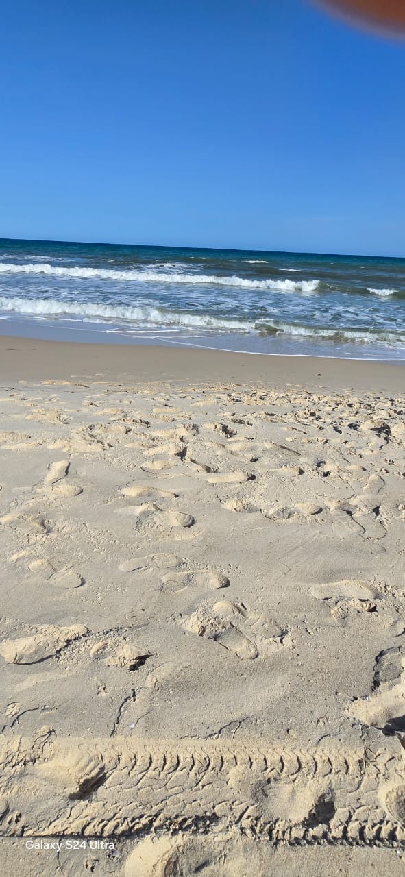 Menzel Temime Lebna Terrain Terrain nu Terrain lebna plage