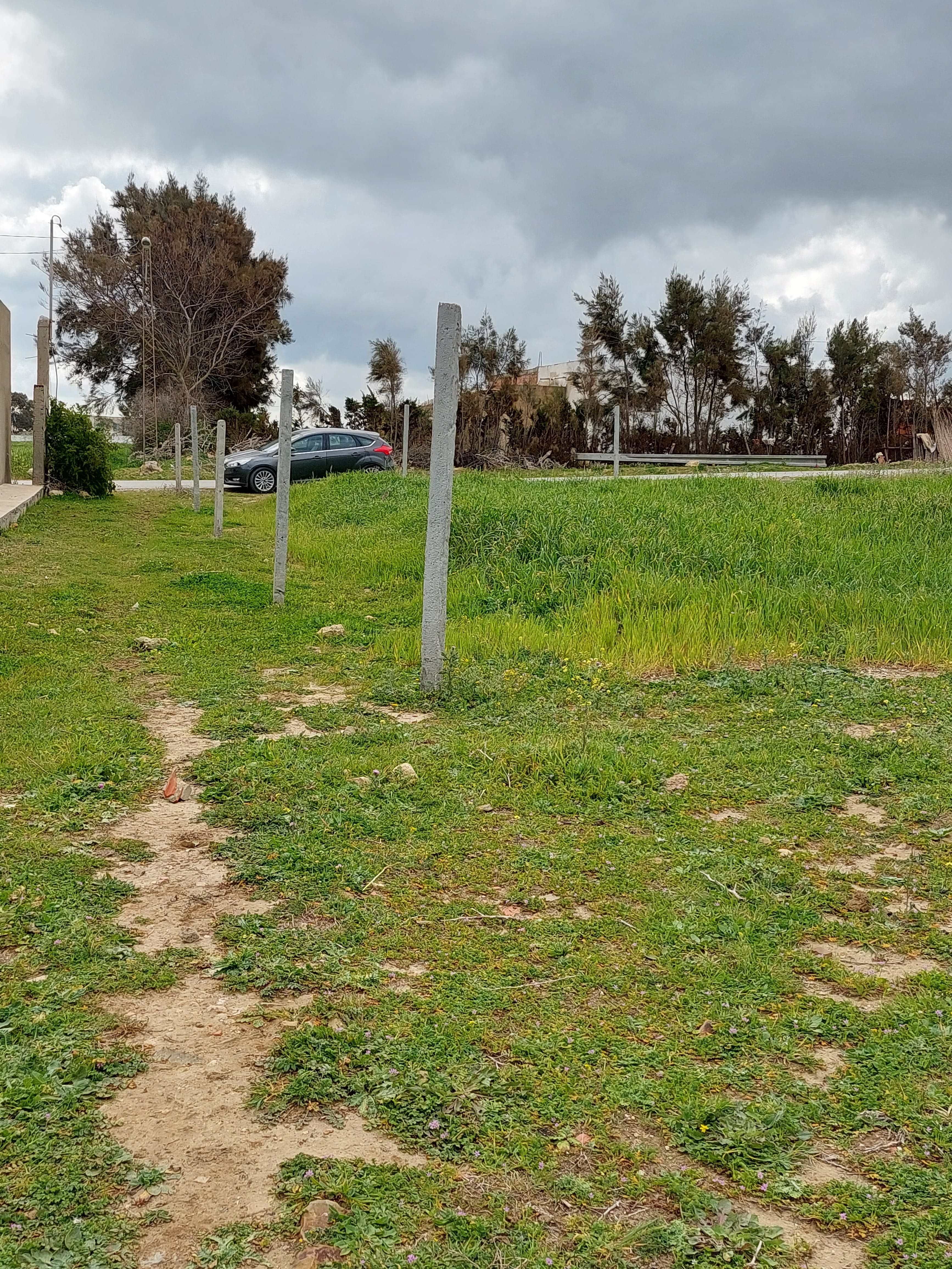 El Haouaria Bir El Jedey Terrain Terrain nu Terrain a bir el jedy