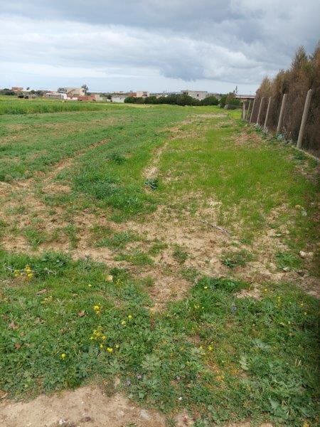 El Haouaria Bir El Jedey Terrain Terrain nu Terrain a bir el jedy