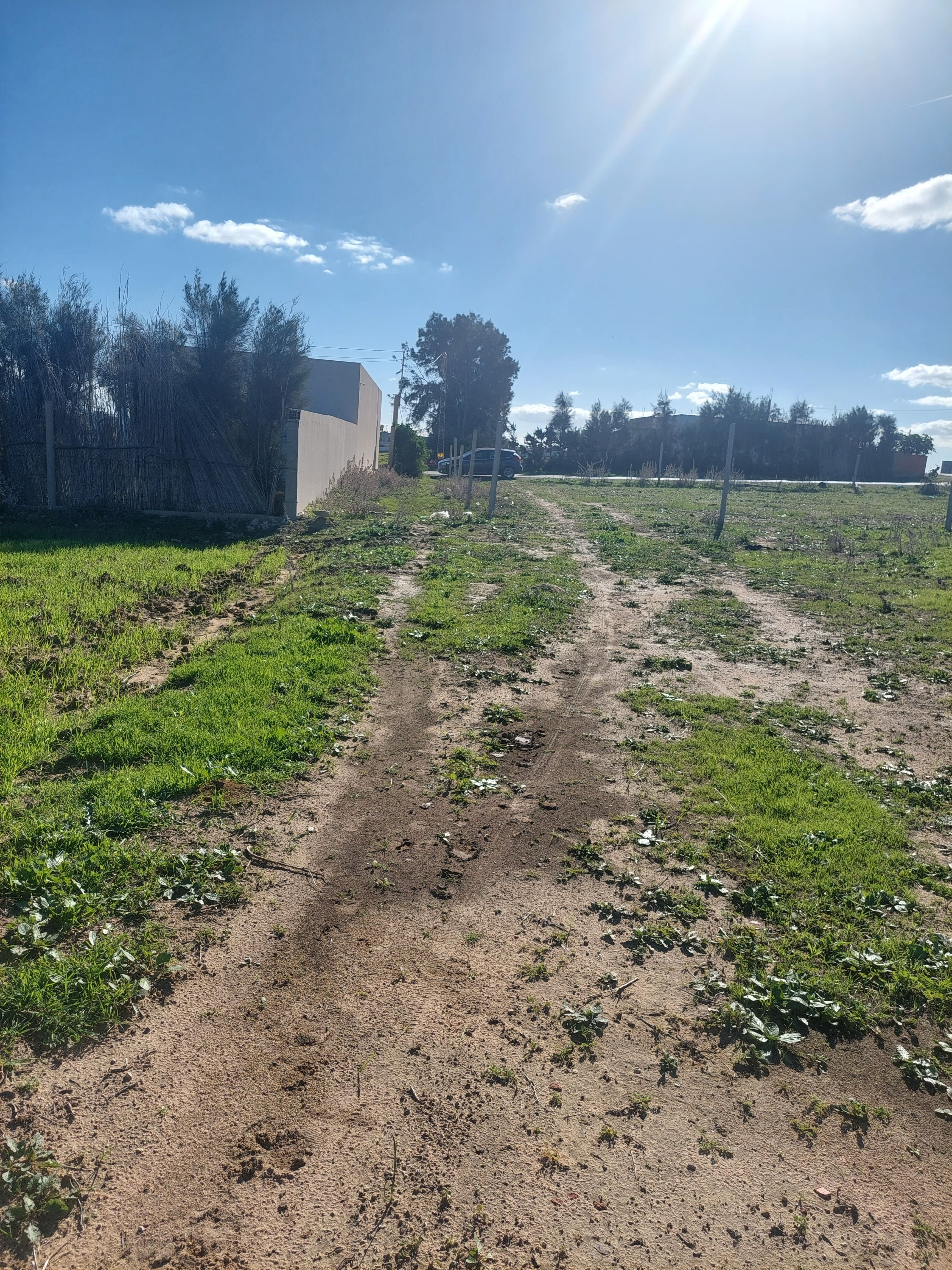 El Haouaria Bir El Jedey Terrain Terrain nu Terrain a bir el jedy
