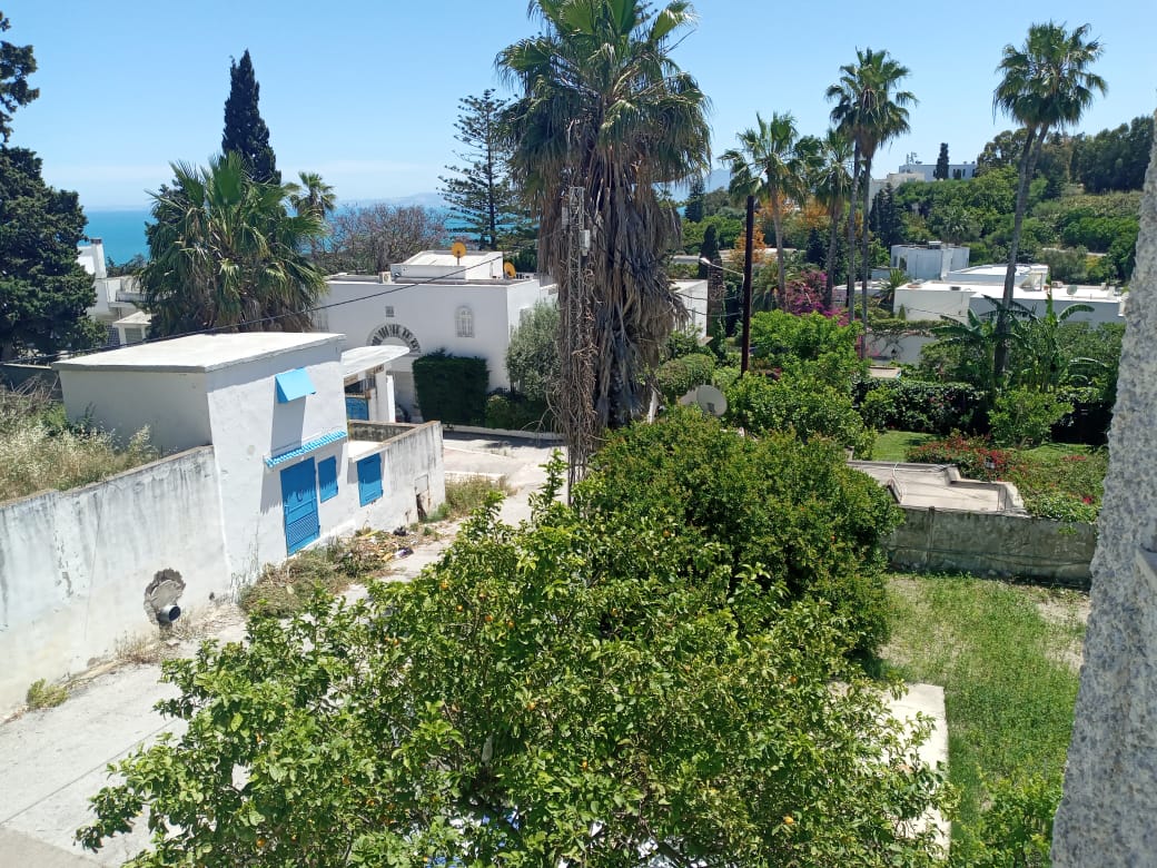 Carthage Carthage Vente Maisons Villa de charme a carthage