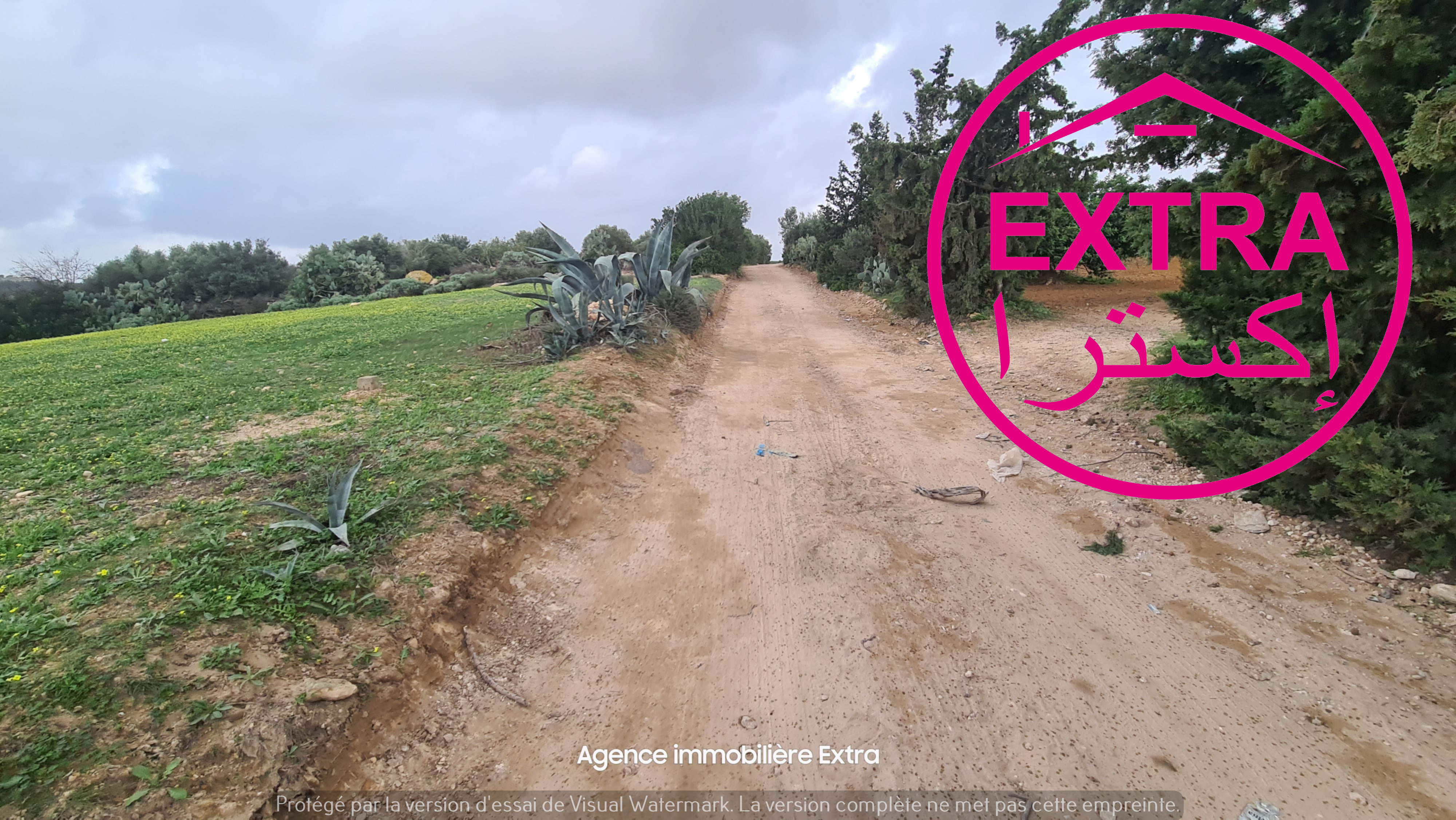Beni Khiar Somaa Terrain Terrain agricole 7eme opportunit  ne pas rater