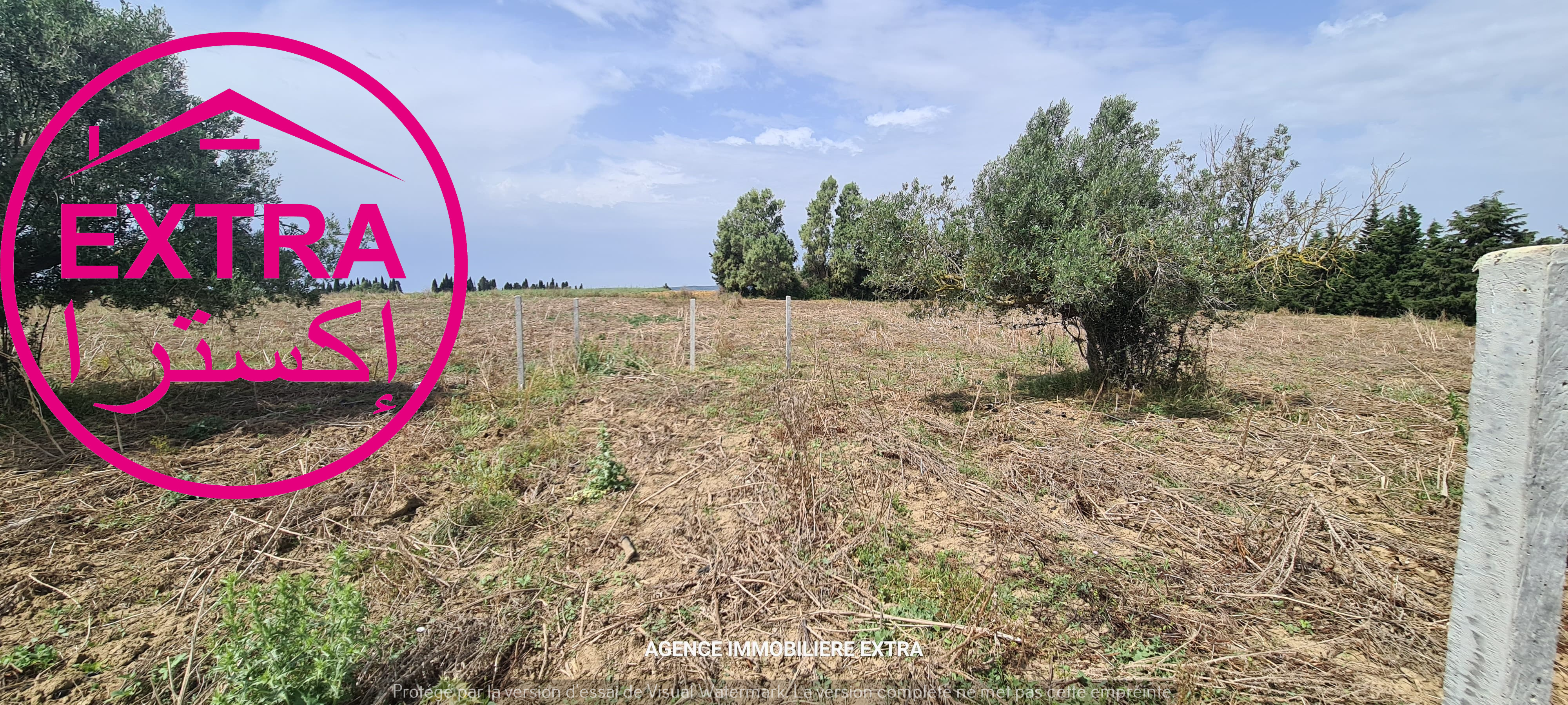Bou Argoub El Machrouha Terrain Terrain agricole 3eme campagne  el machrouha bou argoub