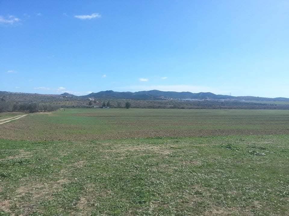 Hammamet Sidi Jedidi Terrain Terrain agricole Terrain hammem bent jdidi