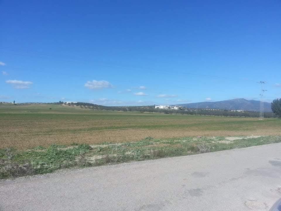 Hammamet Sidi Jedidi Terrain Terrain agricole Terrain hammem bent jdidi