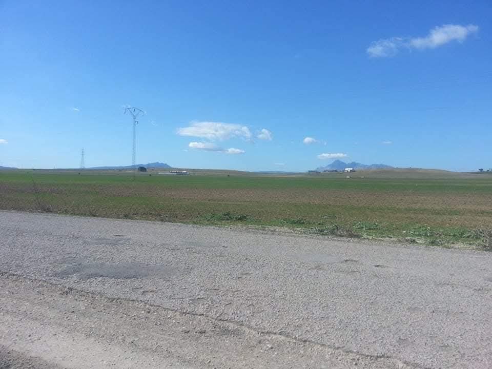 Hammamet Sidi Jedidi Terrain Terrain agricole Terrain hammem bent jdidi