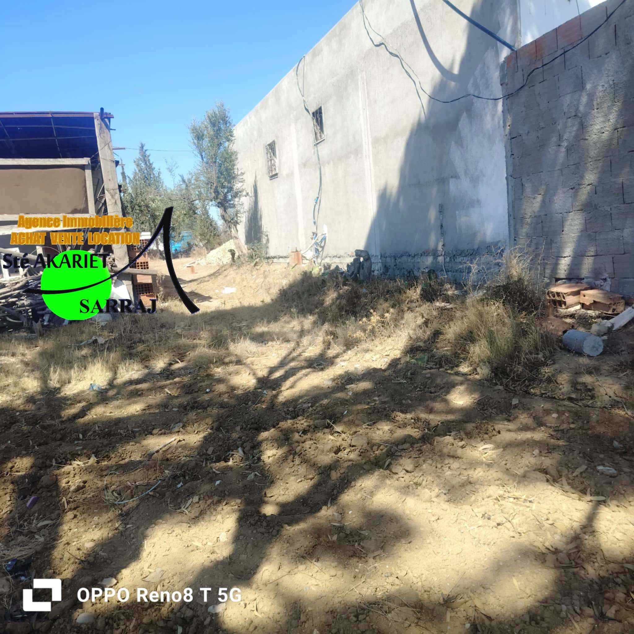 Kalaa Essghira Kalaa Essghira Terrain Terrain agricole Senia 1hectare et 6000m  kalaa seghira