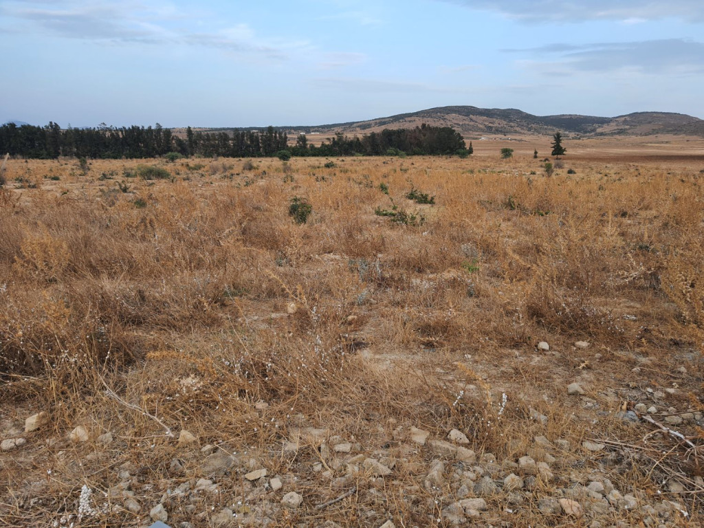 Mornag Mornag Terrain Terrain agricole Terrain agricole 2 ha 