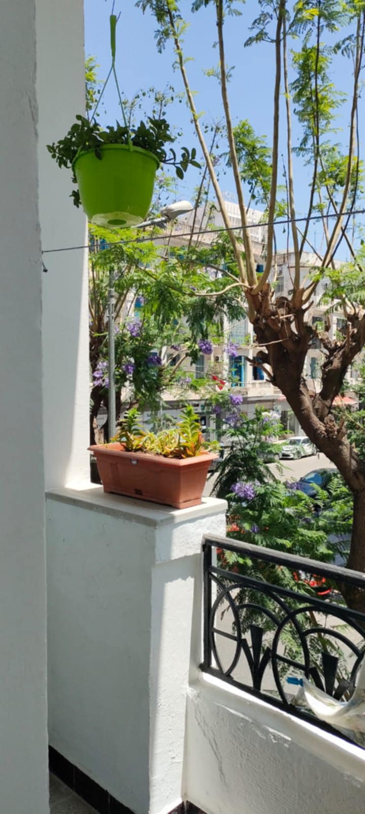 Cite El Khadra Kheireddine Pacha Location Appart. 2 pices Coquette studio la fayette
