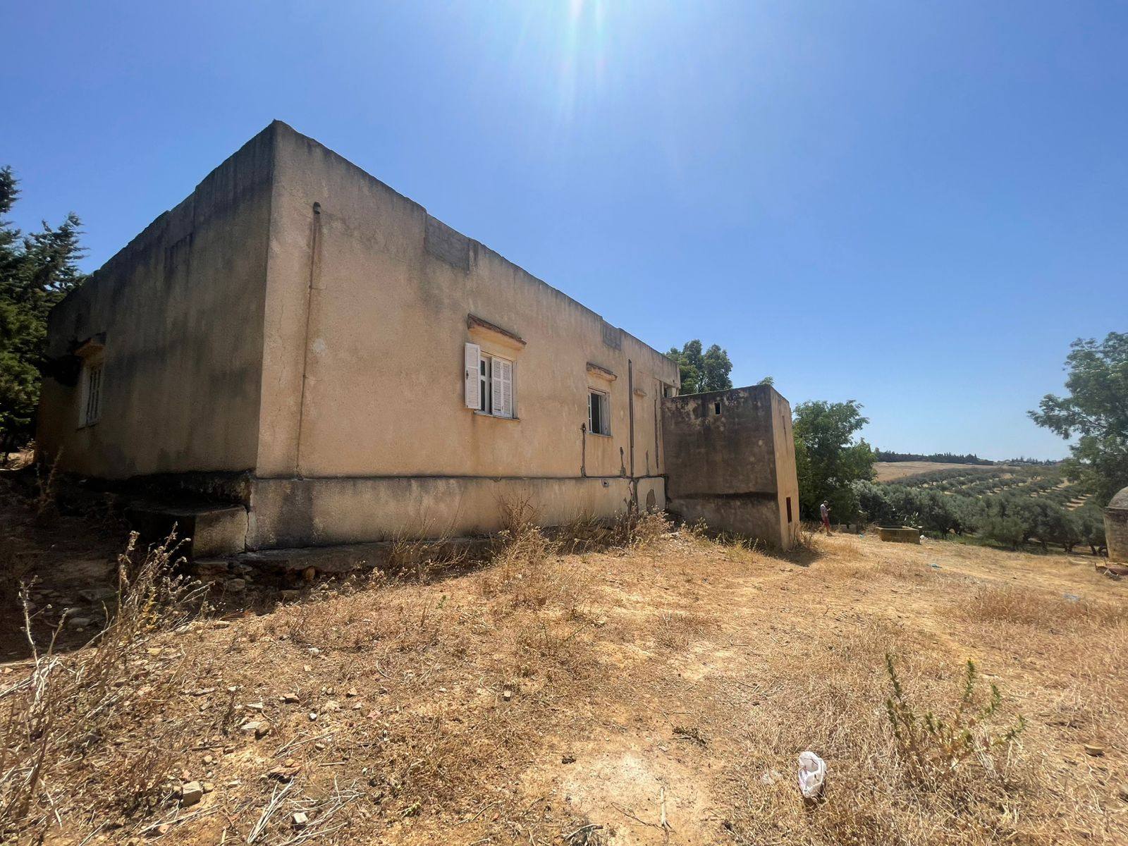 Utique El Fejja Terrain Terrain agricole Terrain agricole ou idal projet maison dhtes