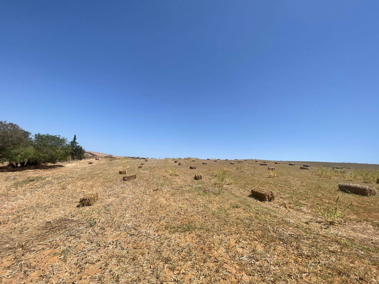Utique El Fejja Terrain Terrain agricole Terrain agricole ou idal projet maison dhtes