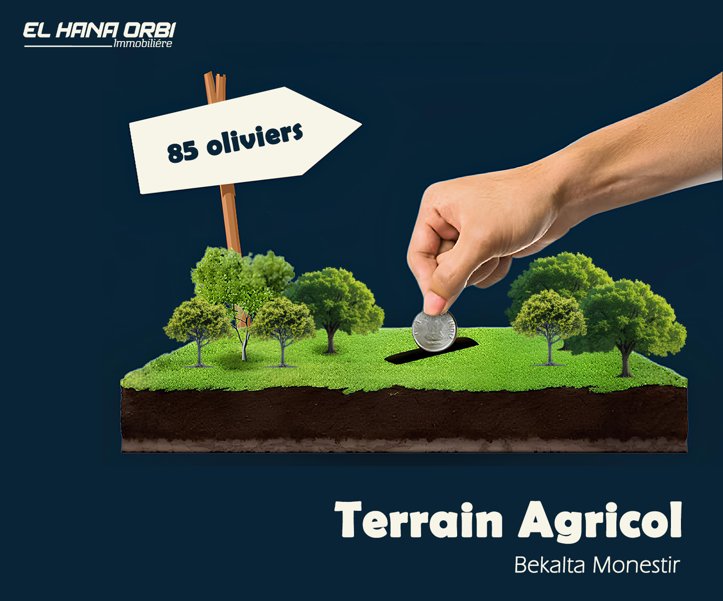Mahdia Mahdia Terrain Terrain agricole Terrain agricole   bekalta