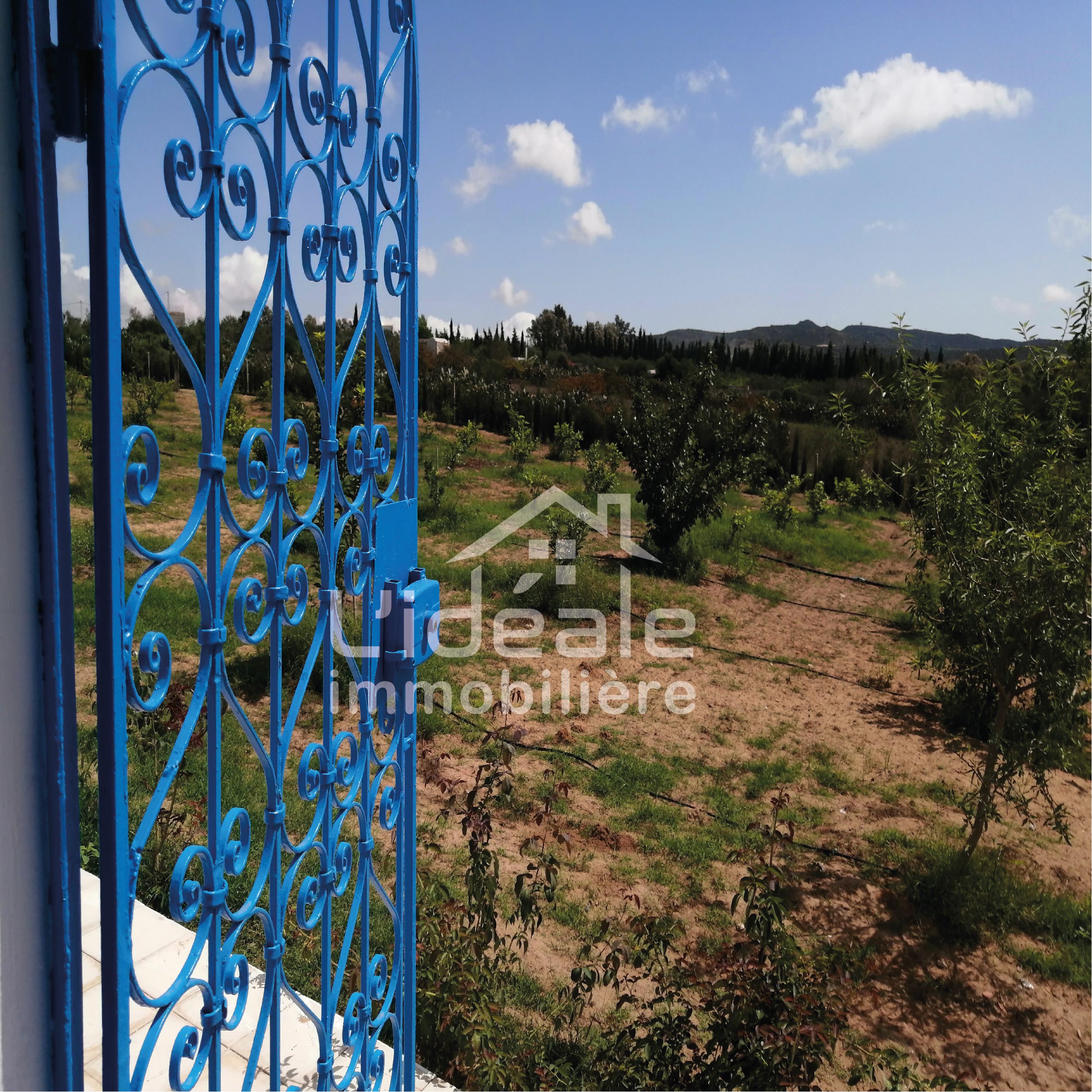 Hammamet Hammamet Terrain Terrain agricole Un beau verger  10 km de hammamet