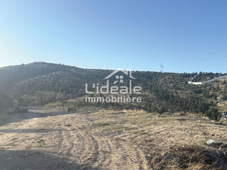 Hammamet Hammamet Terrain Terrain nu Terrain d exception  hammamet nord kharrouba