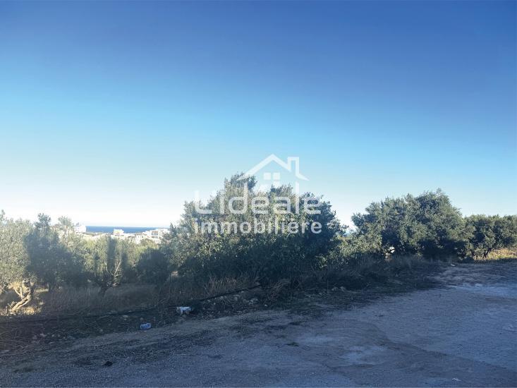 Hammamet Hammamet Terrain Terrain nu Terrain d exception  hammamet nord kharrouba