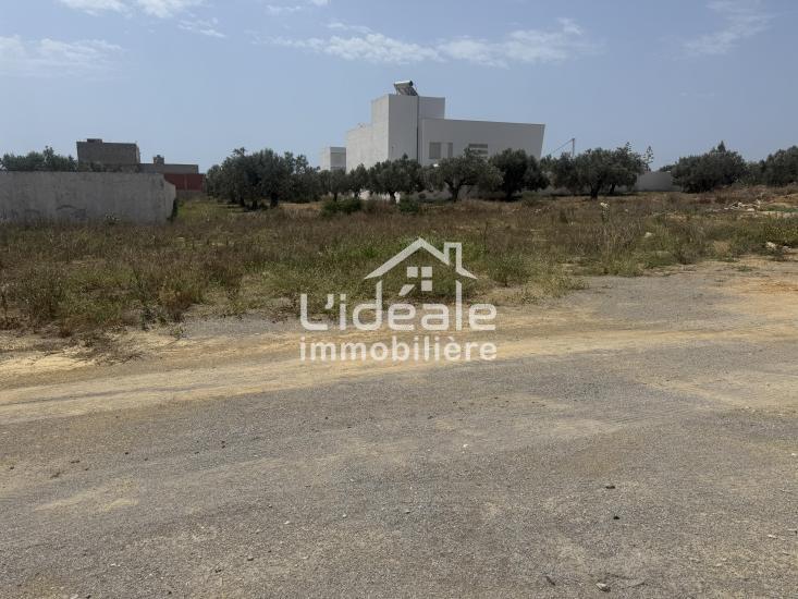 Hammamet Hammamet Terrain Terrain nu Terrain alpha 1  hammamet nord
