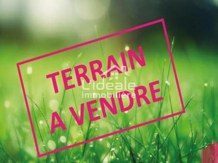 Hammamet Hammamet Terrain Terrain nu Opportunit rare  hammamet nord