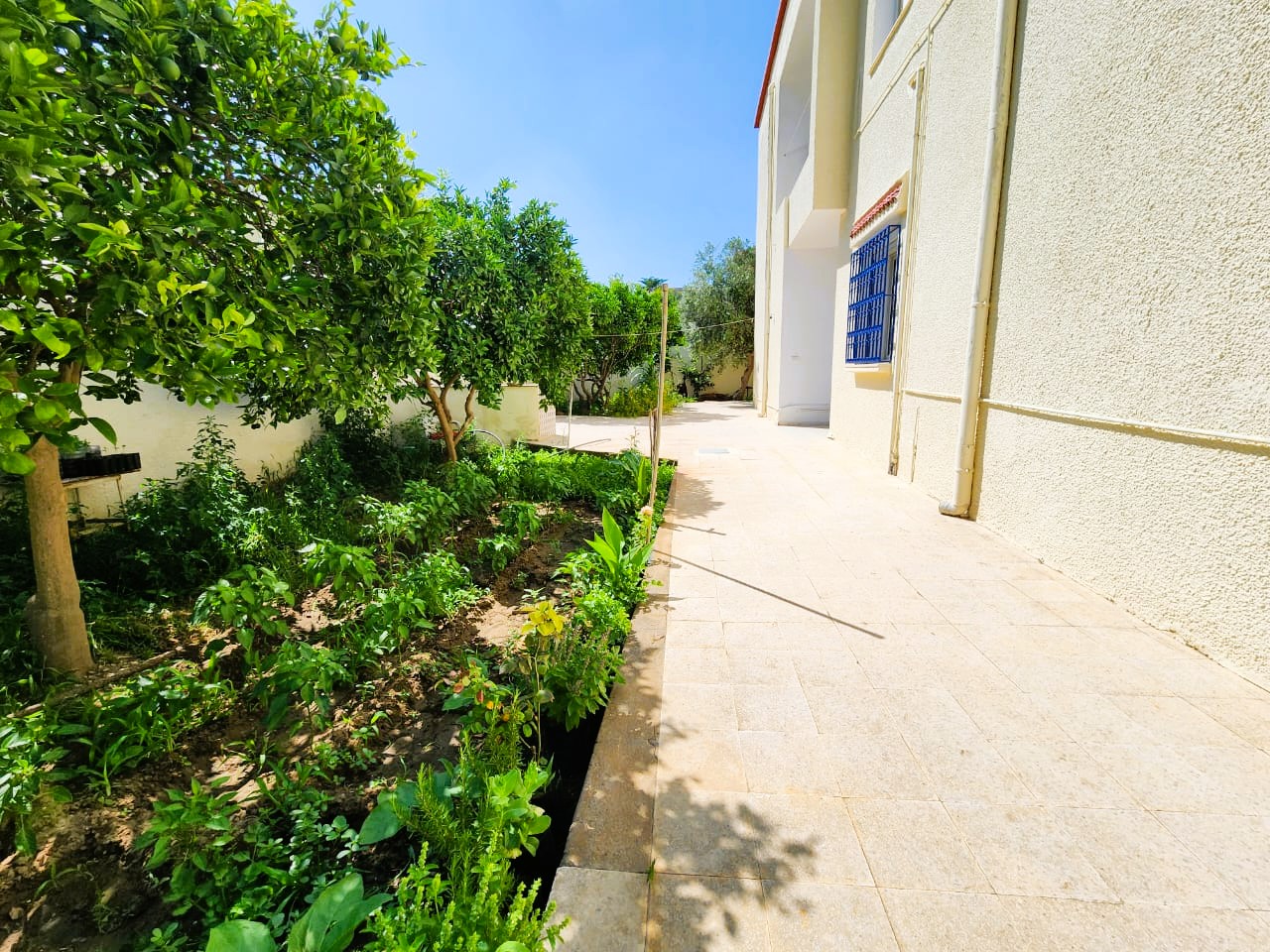 La Soukra Borj Louzir Vente Maisons Villa  borj louzir ariana
