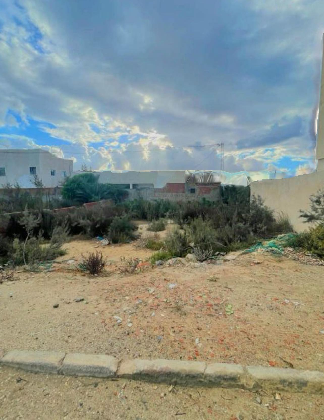 Raoued Raoued Terrain Terrain nu Terrain cot  les flamants roses village