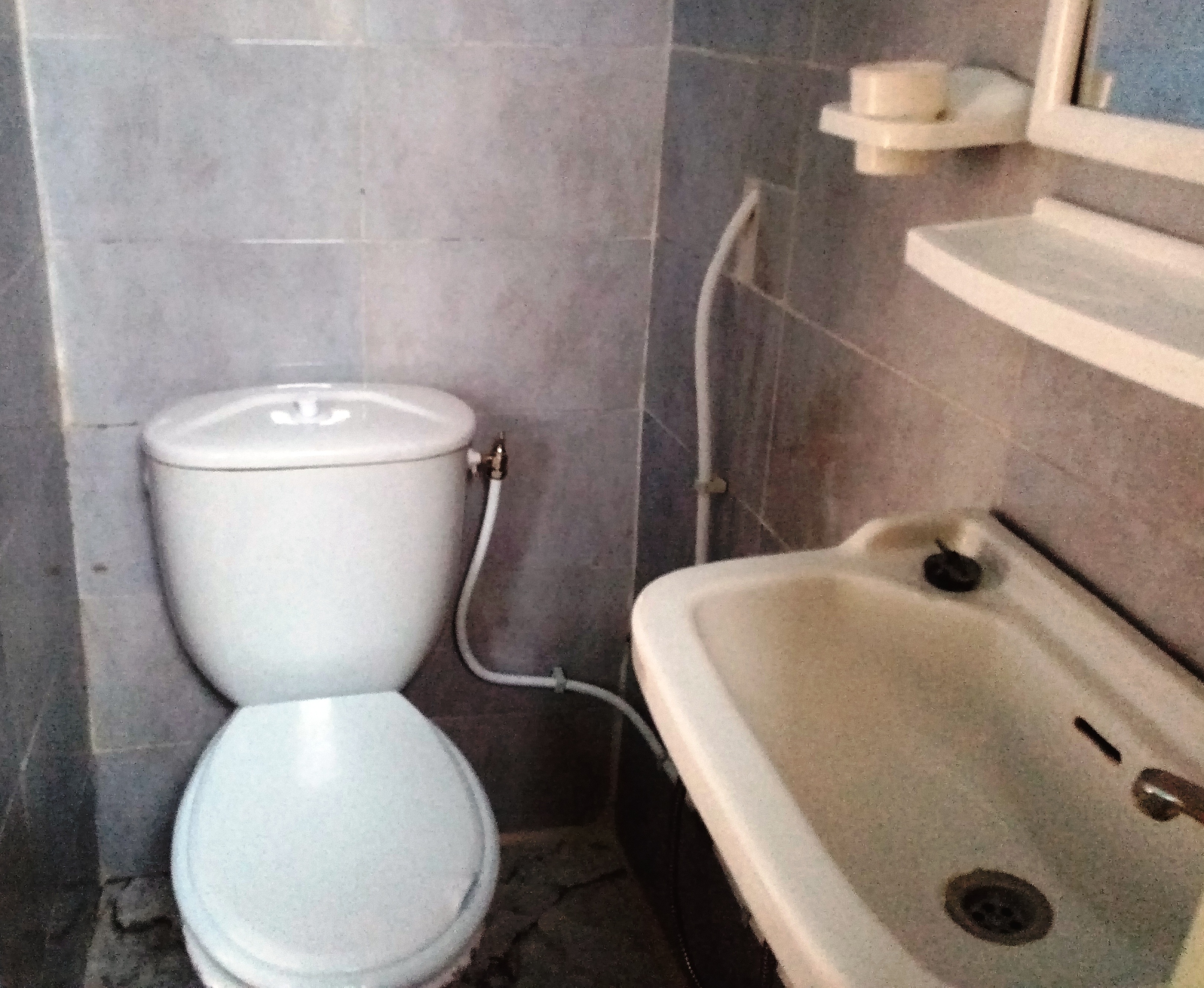 Le Bardo Bouchoucha Location Maisons Agrable et lumineux studio rcemment construit