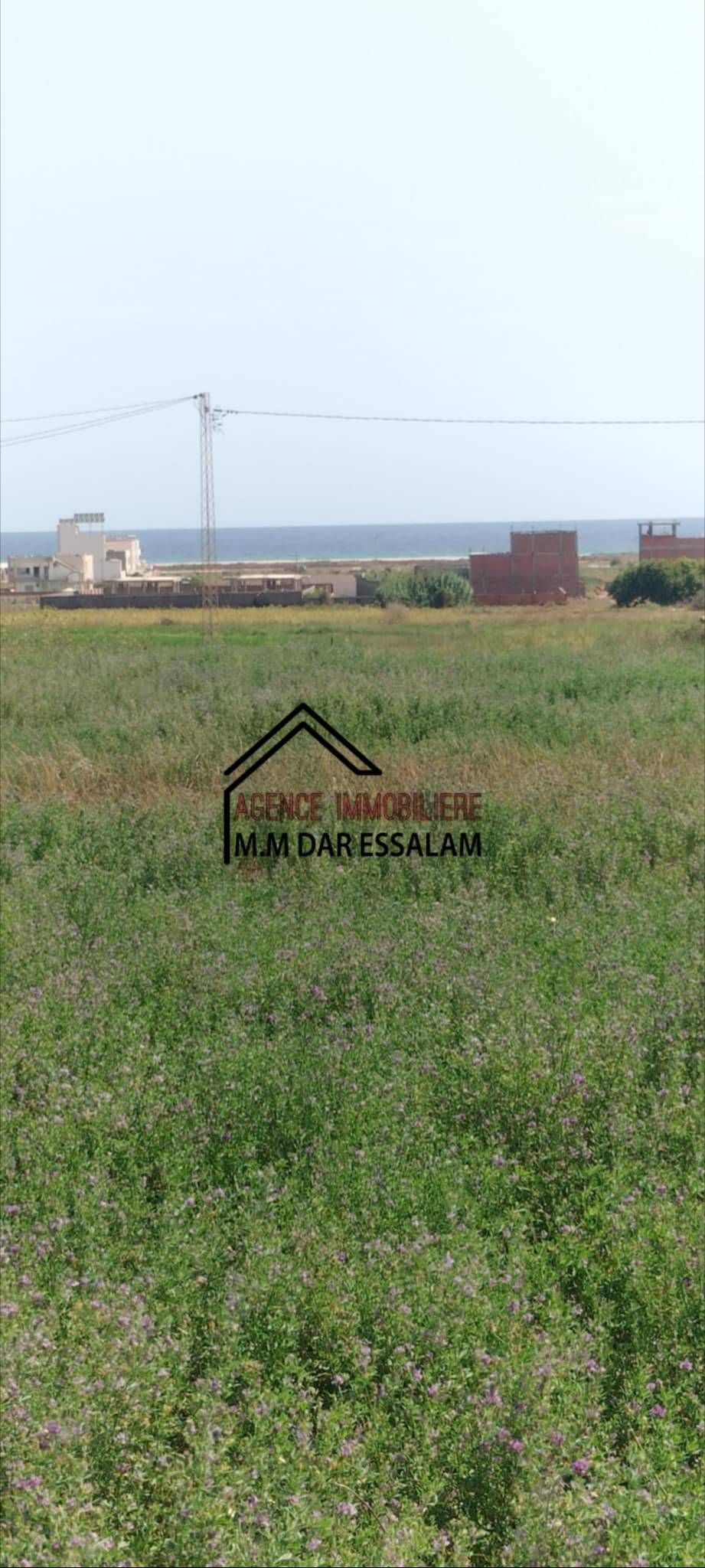 Kelibia Dar Allouche Terrain Terrain nu Des lots de terrain prs de la mer