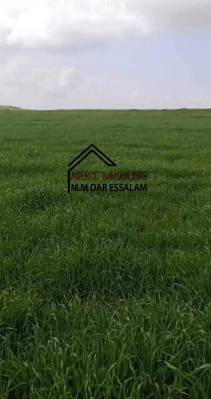 Kelibia Abene Terrain Terrain agricole Terrain agricole offre spcial