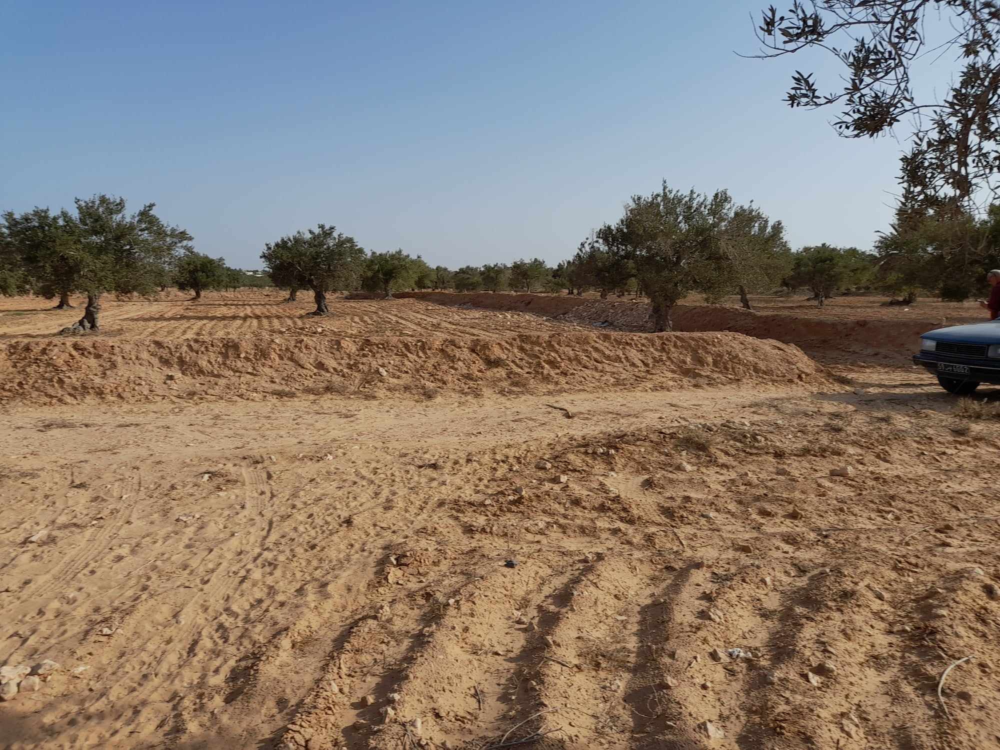Djerba - Midoun El May Terrain Terrain agricole Terrain 3 822 m2 dis ben messaoud 4175 el may