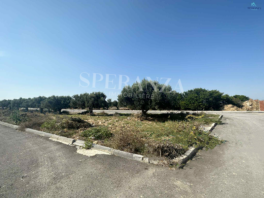 Hammamet Hammamet Vente Autre Terrain jos