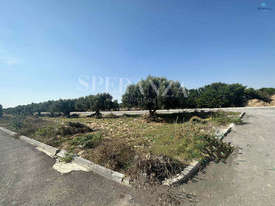 Hammamet Hammamet Vente Autre Terrain jos