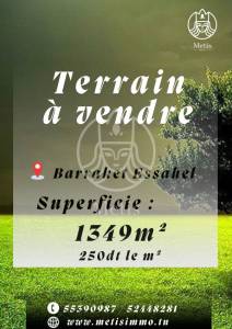 Hammamet Barraket Essahel Vente Surfaces Terrain   ref681a