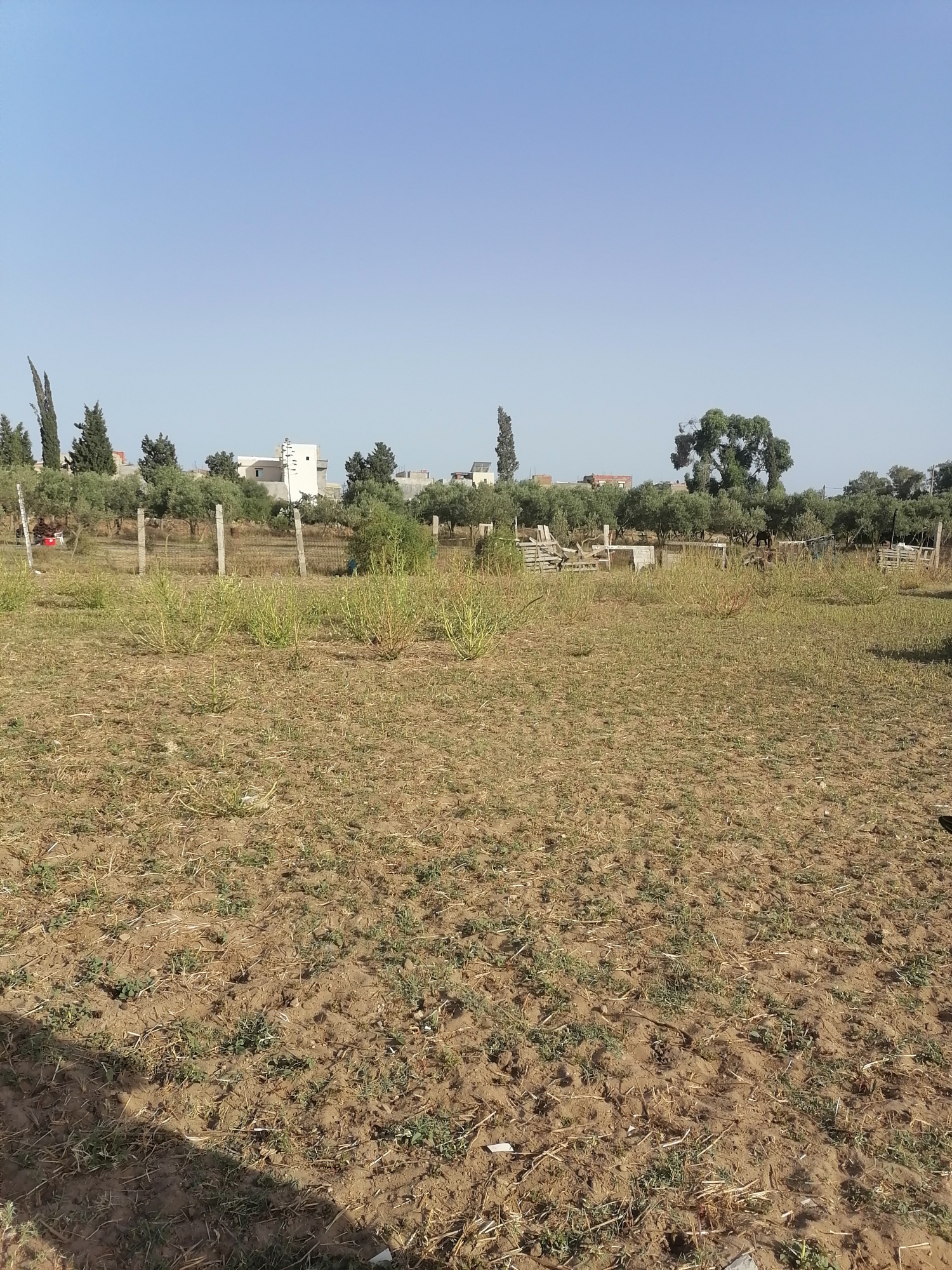 Nabeul Cite Industrielle Terrain Terrain nu Terrain nu pour habitation