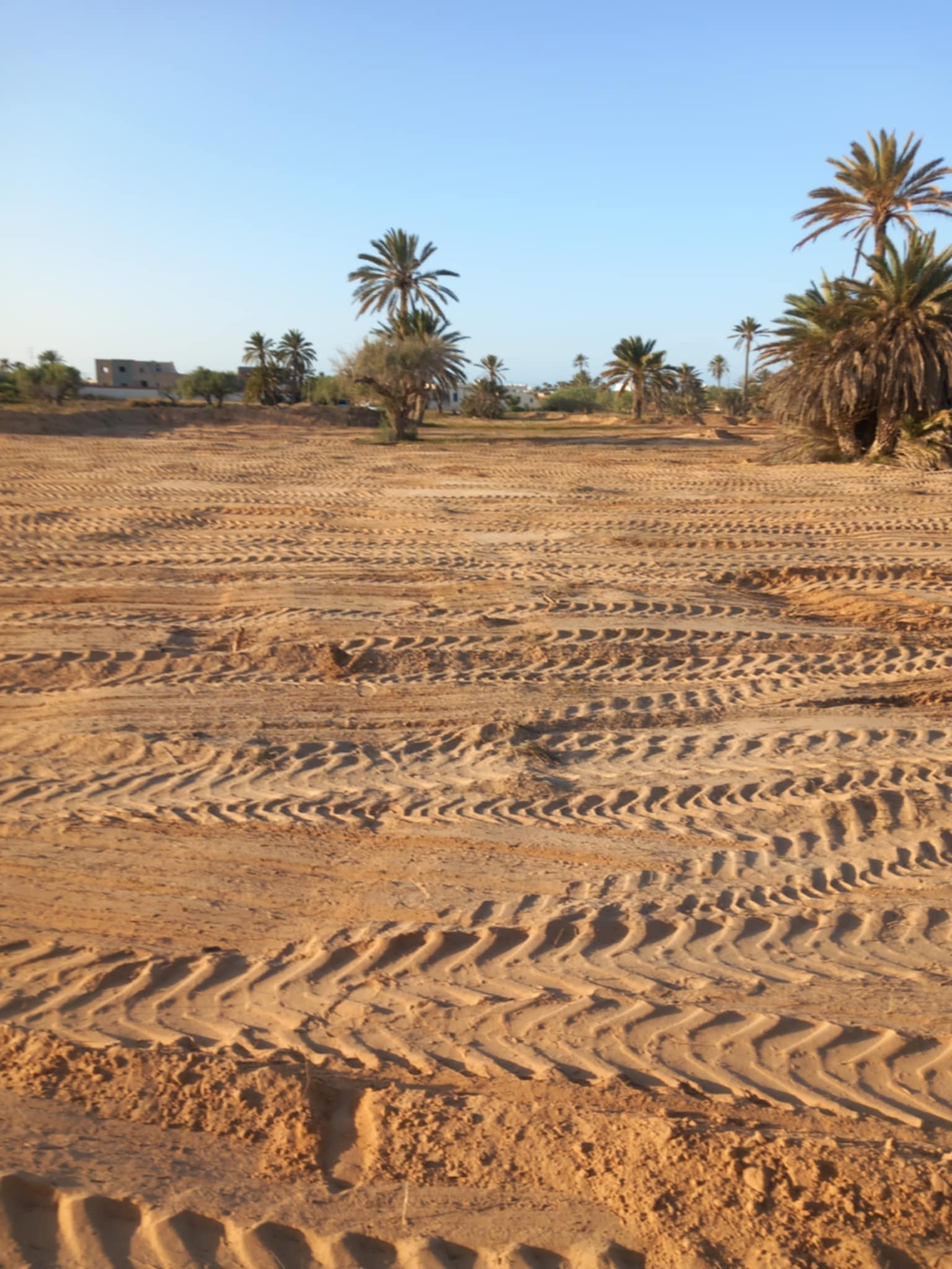 Djerba - Houmet Essouk Mezraya Terrain Terrain nu Djerba mezreya proche zone touristique