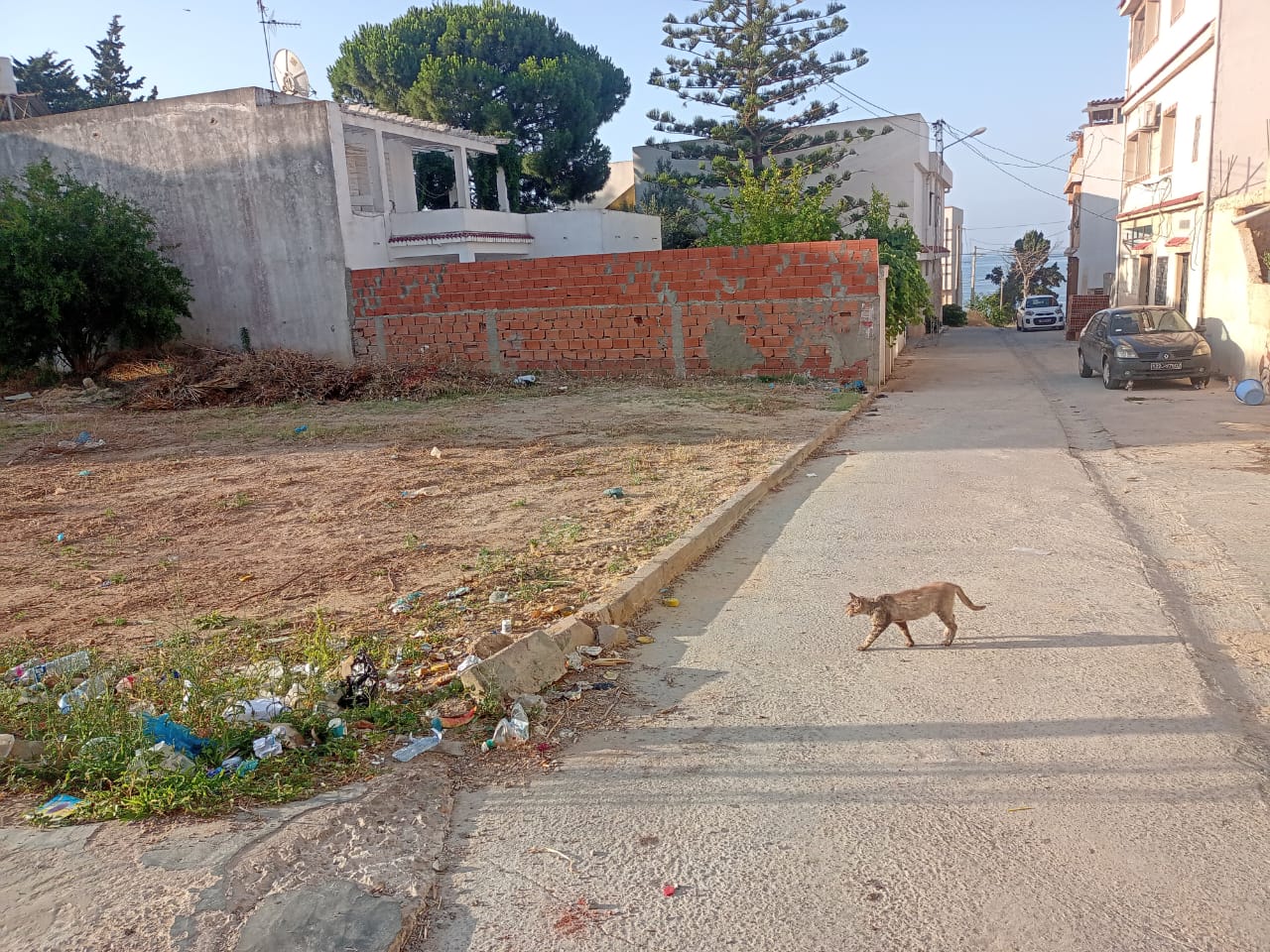 Ghar El Melh Ghar El Melh Terrain Terrain nu Terrain avec papiers en rgle idal pour villa